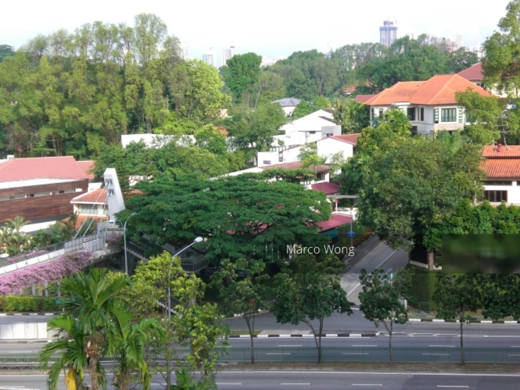 Holland Peak (D10), Condominium #182275132